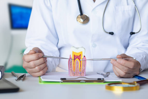 Best Emergency Dental Services for Seniors in Mount Olive, NC